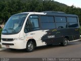 Thaís Tur 3871 na cidade de Joinville, Santa Catarina, Brasil, por Gustavo Campos Gatti. Número da foto: #4824167.