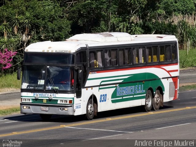 Neembucu 830 na cidade de Irati, Paraná, Brasil, por André Felipe Mudrei. ID da foto: 4828561.