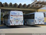 Expresso Metrópolis Transportes e Viagens 1167 na cidade de Jaguariúna, São Paulo, Brasil, por Guilherme Estevan. Número da foto: #4876629.