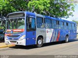 Expresso Metrópolis Transportes e Viagens MP-1163 na cidade de Jaguariúna, São Paulo, Brasil, por Guilherme Estevan. Número da foto: #4876603.