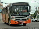 Pepa Transporte 01 na cidade de Santarém, Pará, Brasil, por Tarcisio Schnaider. Número da foto: #:id.