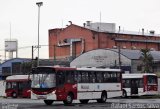 VIP - Unidade Guarapiranga 7 3591 na cidade de São Paulo, São Paulo, Brasil, por Rafael Santos Silva. Número da foto: #:id.