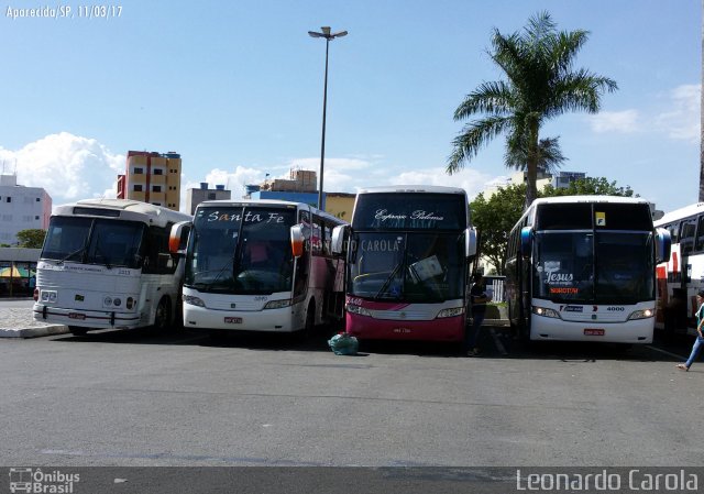 Expresso Paloma 2440 na cidade de Aparecida, São Paulo, Brasil, por Leonardo Carola. Número da foto: #4911439.