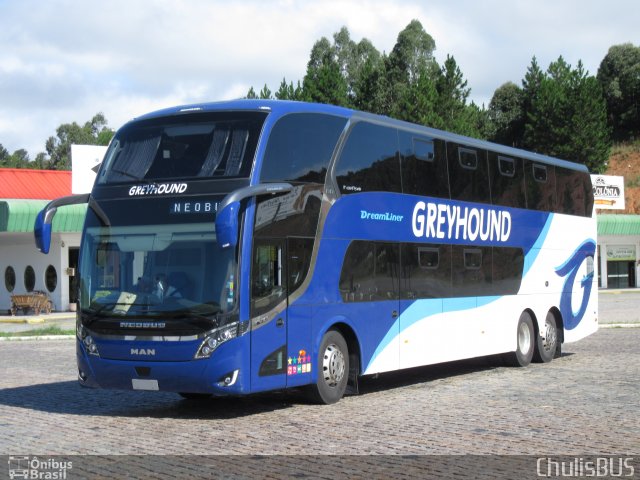 Greyhound África do Sul  na cidade de Campina Grande do Sul, Paraná, Brasil, por Paulo Roberto Chulis. Número da foto: #4912056.