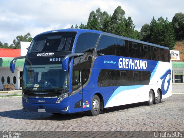 Greyhound África do Sul  na cidade de Campina Grande do Sul, Paraná, Brasil, por Paulo Roberto Chulis. ID da foto: 4912056.