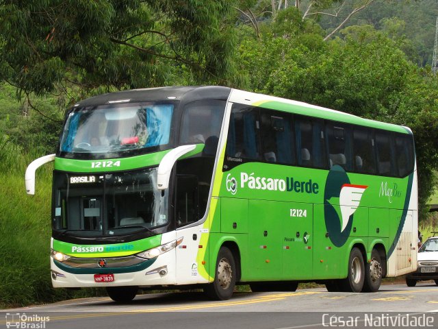 Pássaro Verde 12124 na cidade de Mariana, Minas Gerais, Brasil, por César Natividade. Número da foto: #4911645.