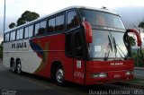 Pluma Conforto e Turismo 4904 na cidade de Curitiba, Paraná, Brasil, por Douglas Paternezi. Número da foto: #4911480.