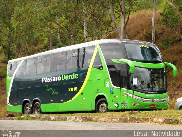 Pássaro Verde 2015 na cidade de Mariana, Minas Gerais, Brasil, por César Natividade. Número da foto: #4914269.