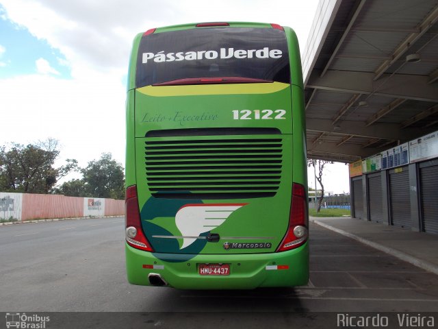Pássaro Verde 12122 na cidade de Brasília, Distrito Federal, Brasil, por Ricardo Vieira. Número da foto: #4913844.