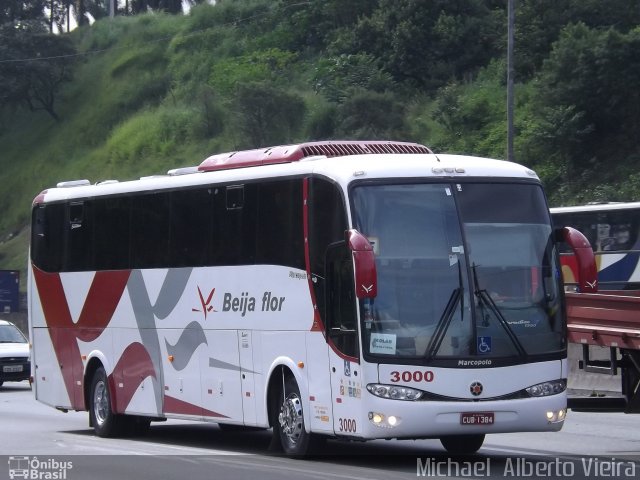 Beija Flor Turismo 3000 na cidade de Barueri, São Paulo, Brasil, por Michael  Alberto Vieira. Número da foto: #4913173.