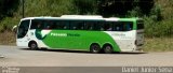 Pássaro Verde 28035 na cidade de Mariana, Minas Gerais, Brasil, por Daniel Junior Sena. Número da foto: #:id.