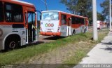 Viação Centro Oeste 5135 na cidade de Santa Maria, Rio Grande do Sul, Brasil, por Wellerson Cezar. Número da foto: #:id.