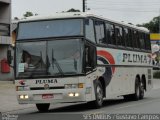 Pluma Conforto e Turismo 3337 na cidade de Joinville, Santa Catarina, Brasil, por Gustavo Campos Gatti. Número da foto: #4915103.