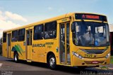 Viação Garcia 7929 na cidade de Apucarana, Paraná, Brasil, por Pedroka Ternoski. Número da foto: #4916640.