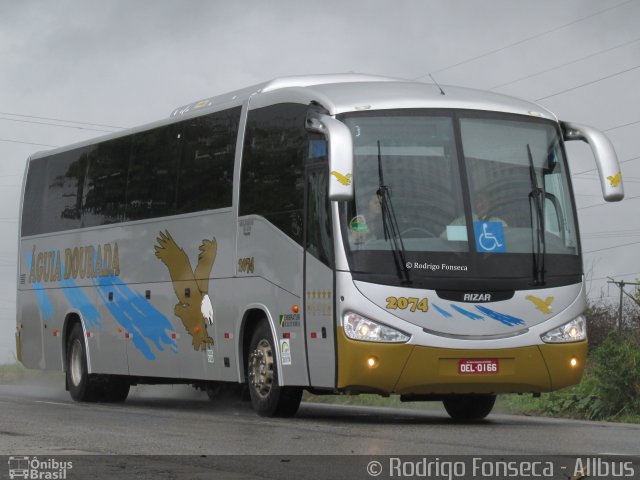 Águia Dourada 2074 na cidade de Maceió, Alagoas, Brasil, por Rodrigo Fonseca. Número da foto: #4918592.