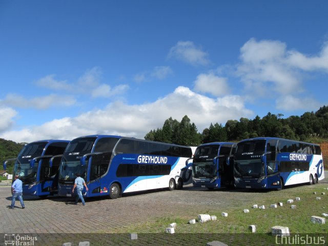 Greyhound África do Sul  na cidade de Campina Grande do Sul, Paraná, Brasil, por Paulo Roberto Chulis. ID da foto: 4920430.