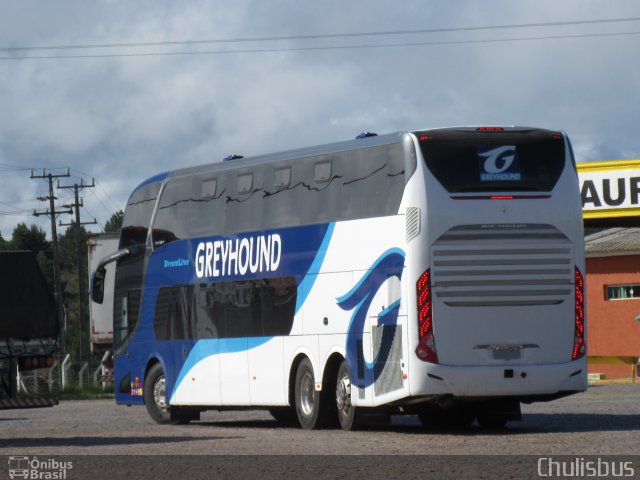 Greyhound África do Sul  na cidade de Campina Grande do Sul, Paraná, Brasil, por Paulo Roberto Chulis. ID da foto: 4920497.