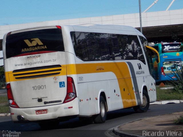 Viação Araguarina 10901 na cidade de Brasília, Distrito Federal, Brasil, por Ricardo Vieira. ID da foto: 4878710.