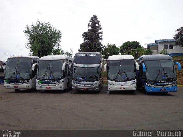 Planalto Transportes 1703 na cidade de Santana do Livramento, Rio Grande do Sul, Brasil, por Gabriel  Morosoli. Número da foto: #4878880.
