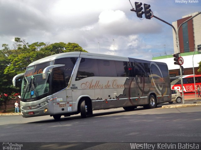 Bia Turismo > Aellos de Ouro 8221 na cidade de Sorocaba, São Paulo, Brasil, por Weslley Kelvin Batista. Número da foto: #4879096.