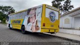 Sitratuh 9317 na cidade de Siderópolis, Santa Catarina, Brasil, por Felipe  Brignol. Número da foto: #4927906.