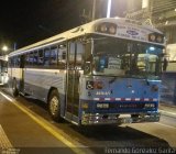 Ônibus Particulares 5 na cidade de Alto Paraíso de Goiás, Goiás, Brasil, por Fernando Gonzalez Garita. Número da foto: #4927463.