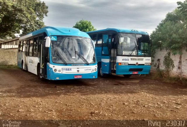 Cattani Sul Transportes e Turismo 11661 na cidade de Pato Branco, Paraná, Brasil, por Rodrigo Augusto  Vignaga. Número da foto: #4930243.