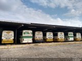 Empresa Gontijo de Transportes 10135 na cidade de Contagem, Minas Gerais, Brasil, por Pedro Castro. Número da foto: #4932712.