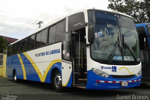 Pulmitan De Liberia GB 2420 na cidade de , por Daniel Brenes. Número da foto: #4934860.
