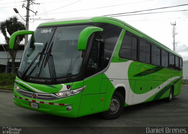 Caribeños SJB 16029 na cidade de , por Daniel Brenes. Número da foto: #4934871.