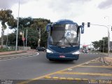 Bia Turismo > Aellos de Ouro 8220 na cidade de Sorocaba, São Paulo, Brasil, por Vittor Batista. Número da foto: #4933283.