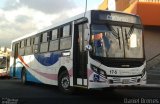 Transportes Coronado 17-5 na cidade de , por Daniel Brenes. Número da foto: #4933052.