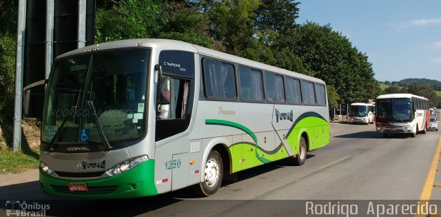 Turin Transportes 1250 na cidade de Conselheiro Lafaiete, Minas Gerais, Brasil, por Rodrigo  Aparecido. ID da foto: 4936639.