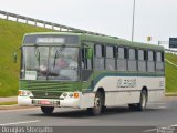 Viação Alegria 165 na cidade de Guaíba, Rio Grande do Sul, Brasil, por Douglas Storgatto. Número da foto: #:id.
