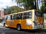 Cidade das Hortênsias 3010 na cidade de Petrópolis, Rio de Janeiro, Brasil, por Zé Ricardo Reis. Número da foto: #:id.