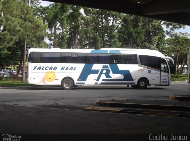 Falcão Real 23100 na cidade de Salvador, Bahia, Brasil, por Cecílio Júnior. ID da foto: 4885733.