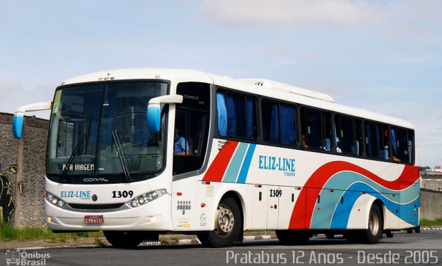 Eliz-Line Transporte e Turismo 1309 na cidade de São Paulo, São Paulo, Brasil, por Cristiano Soares da Silva. ID da foto: 4884461.