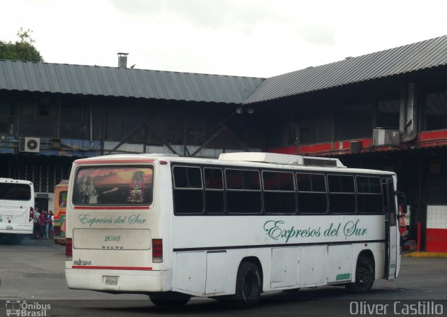 Expresos del Sur 2018 na cidade de , por Oliver Castillo. ID da foto: 4884392.