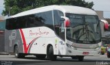 Paraibuna Transportes 22002 na cidade de Rio de Janeiro, Rio de Janeiro, Brasil, por Lucas de Freitas Fonseca. Número da foto: #4885887.