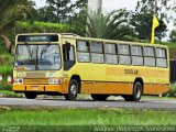 Viação Vale do Ribeira 4790 na cidade de Registro, São Paulo, Brasil, por Wagner Domingos Ivanesken. Número da foto: #4884163.