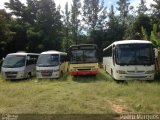Ônibus Particulares 2997 na cidade de Amparo do Serra, Minas Gerais, Brasil, por Pedro Henrique Marques Freitas . Número da foto: #:id.