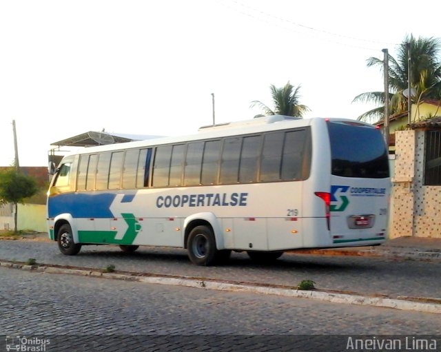 Coopertalse 219 na cidade de Heliópolis, Bahia, Brasil, por Aneivan Lima. ID da foto: 4891871.