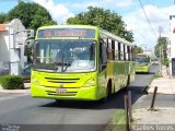 Transcol Transportes Coletivos 04377 na cidade de Teresina, Piauí, Brasil, por Abiellies Torres. ID da foto: :id.