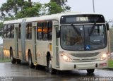 Transportes Coletivos Nossa Senhora da Piedade 801 na cidade de Campo Largo, Paraná, Brasil, por Alessandro Fracaro Chibior. Número da foto: #:id.