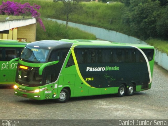 Pássaro Verde 2013 na cidade de Ouro Preto, Minas Gerais, Brasil, por Daniel Junior Sena. Número da foto: #4895059.