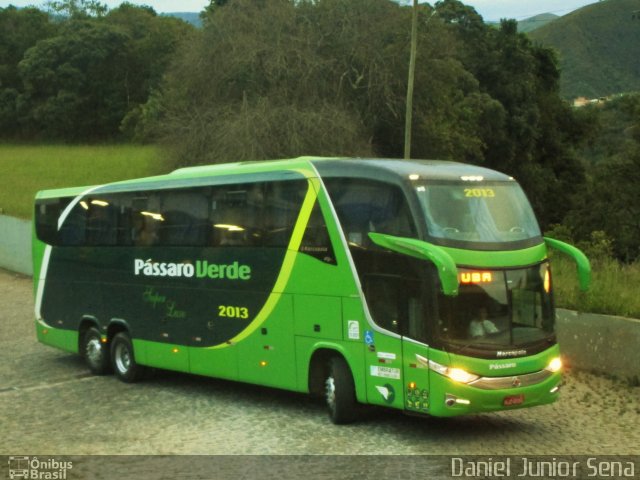 Pássaro Verde 2013 na cidade de Ouro Preto, Minas Gerais, Brasil, por Daniel Junior Sena. Número da foto: #4895060.