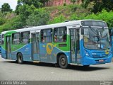 Metropolitana Transportes e Serviços 11017 na cidade de Cariacica, Espírito Santo, Brasil, por Danilo Moraes. Número da foto: #4896129.