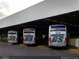 Guerino Seiscento 0510 na cidade de Assis, São Paulo, Brasil, por Rogério César. Número da foto: #4949557.