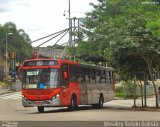 TRANSPPASS - Transporte de Passageiros 8 1123 na cidade de São Paulo, São Paulo, Brasil, por Weslley Kelvin Batista. Número da foto: #:id.