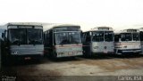 Vitran Turismo 115 na cidade de Taubaté, São Paulo, Brasil, por Carlos ASA. Número da foto: #4972613.
